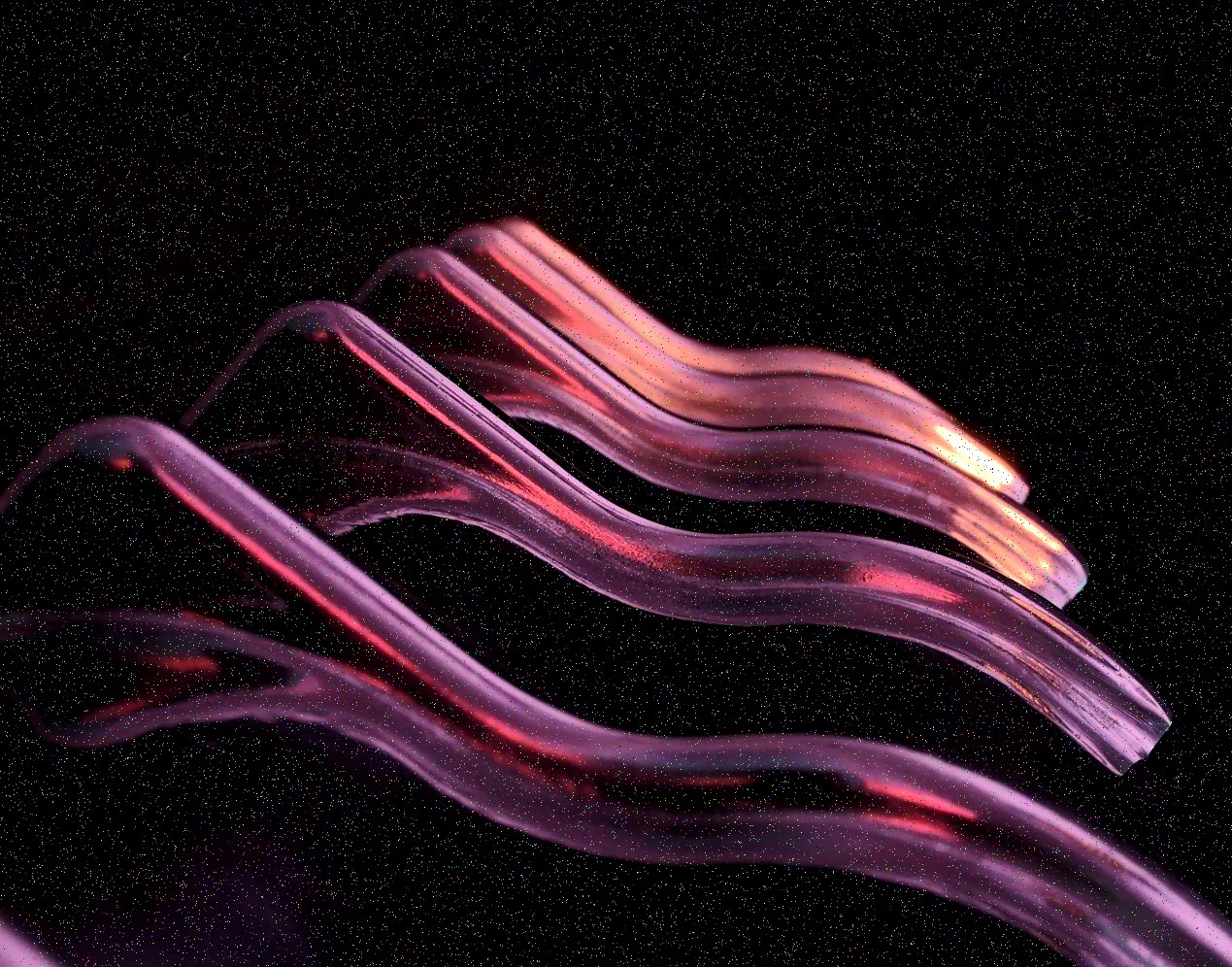 Projekt 2